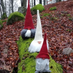 Asas Tomtebod Tomte Gnome - Carl With Red Cap| Tomte Gnomes