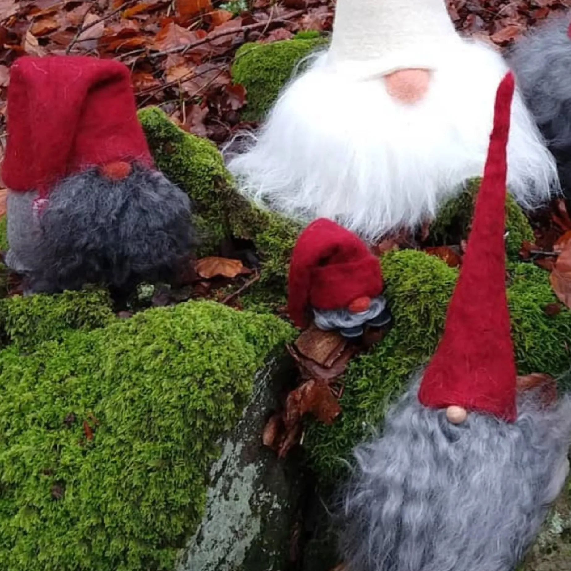 Asas Tomtebod Tomte Gnome - Little Sune (Grey Cap)| Tomte Gnomes